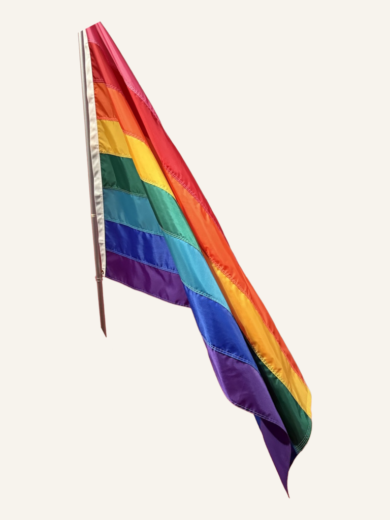 an 8 striped pride flag on a cream background